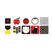 Sada naučných hraček pro miminka 0–?6 měsíců - edukativní box