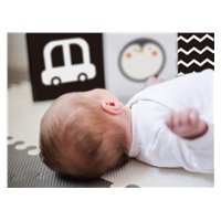 Sada naučných hraček pro miminka 0–?6 měsíců - edukativní box