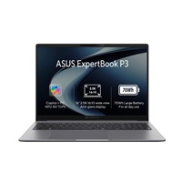ASUS NTB ExpertBook P3 (P3405CVA-LY0012X), i7-13620H, 14" 1920 x 1200, 32GB, 1TB SSD, UHD, W11 Pro, Gray