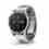 Garmin D2 Mach1, Sapphire Titan/ Vented Titanium Band