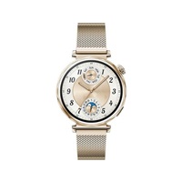 Huawei Watch GT5 41mm (Jana-B19M), gold EU