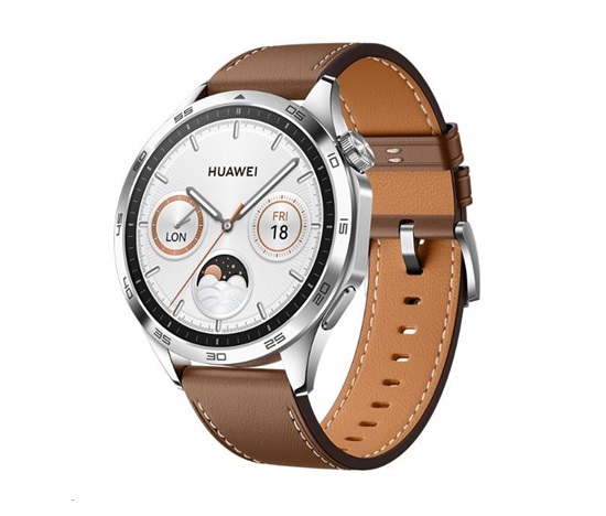 Huawei Watch GT4 46mm (Phoinix-B19L), brown EU