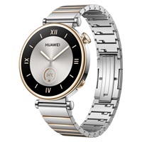Huawei Watch GT4 41mm (Aurora-B19T), silver EU