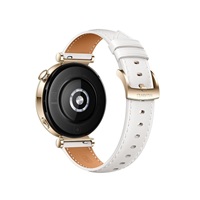 Huawei Watch GT4 41mm (Aurora-B19L), white EU