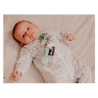 Klip na dudlík lenochod