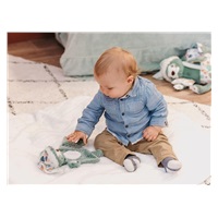 Muchláček lenochod