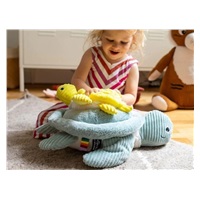 Plyšová želva, mintová