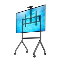 Stojan na televize NB P200G