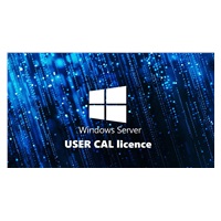 FUJITSU Windows 2025 - WINSVR CAL 1 User