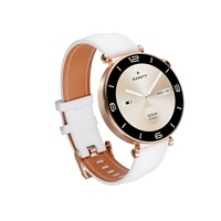 Garett Smartwatch ROSE zlatá, Mesh steel