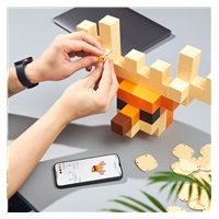 Pixio Voxart - Cubeheads - Dudes, Smart Pixel