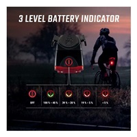 Sigma BUSTER 1600 + BUSTER RL 150