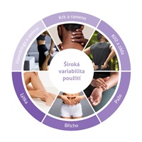 BAZAR - TrueLife RelaxBack B3 Charge - masážní polštář s dobíjecí baterií - Poškozený obal (Komplet)