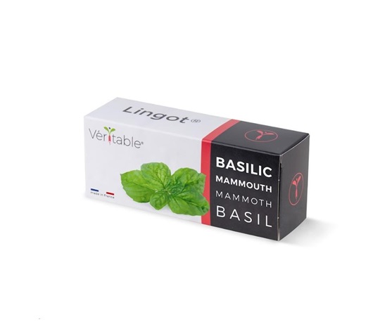 Véritable Lingot Bazalka mamutí