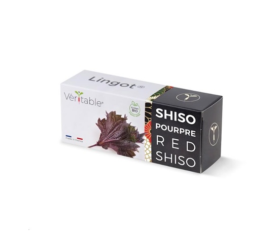 Véritable Lingot Fialový shiso - BIO