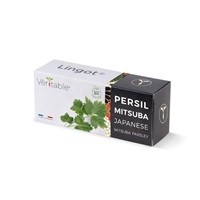 Véritable Lingot Japonská petržel Mitsuba