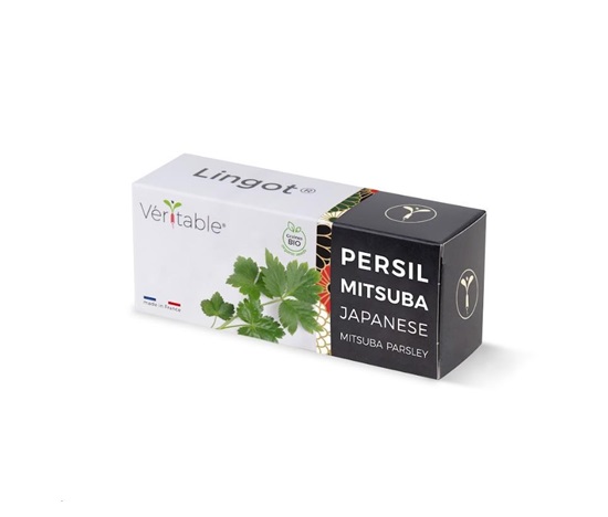 Véritable Lingot Japonská petržel Mitsuba