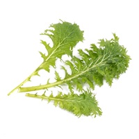 Véritable Lingot Wasabi hořčice listová - BIO