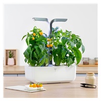 Véritable Lingot Žlutá mini paprika - BIO