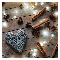 Solight vánoční řetěz stříbrný, 50x mini LED, 5m, 3 x AA, studené světlo