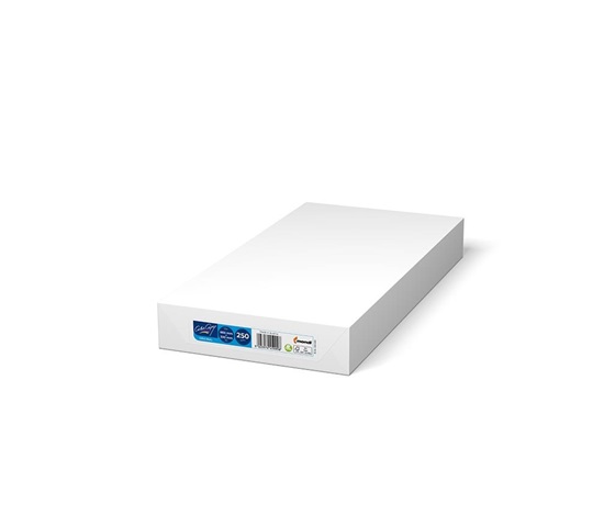 Xerox Papír Colotech - ColorCopy 250ks  660 x 330 SG (200)