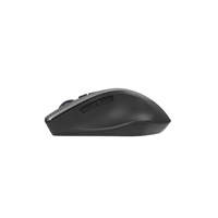 ASUS WT425 Optická myš, bezdrátová, stříbrná