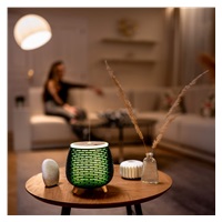 TrueLife AIR Diffuser D4 - Aroma difuzér