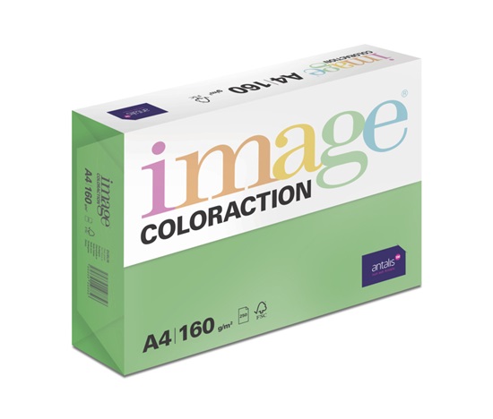 Antalis Papír Image Coloraction Dublin - tmavě zelená (DG47) A4 (160g/250ks)