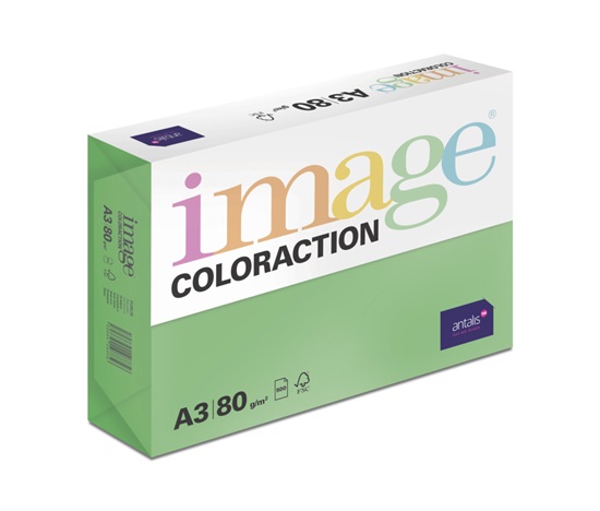 Antalis Papír Image Coloraction Dublin - tmavě zelená (DG47) A3 (80g/500ks)