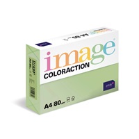 Antalis Papír Image Coloraction Forest - pastelově zelená (MG28) A4 (80g/100ks)