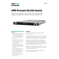 HPE PL DL365g11 AMD Epyc 9115 (2.6/16C) 2x32G 2x480G MR408i-o/4G ocp 2p10G-T 8SFF 2x1000W 1U Smart Choice
