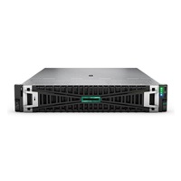 HPE PL DL385g11 AMD EPYC 9115 (2.6/16C) 2x32G NS204i (2x480) 2x1000W 8LFF 2p10GT Smart Choice
