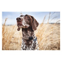 LAMAX GPS Locator + obojek - rozbaleno