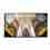 SMART Signage LED QB65C 65" LH65QBCEBGCXEN - pošk. obal