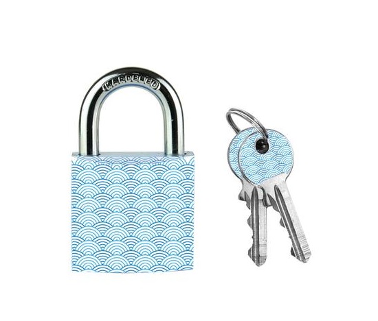 Master Lock Visací zámek  z pevného hliníku 3430EURDWAVE - 30mm