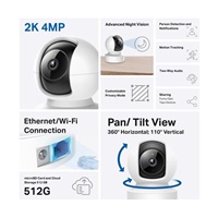 TP-Link Tapo C220
