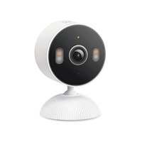TP-Link Tapo C113