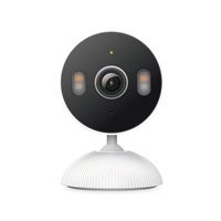 TP-Link Tapo C113