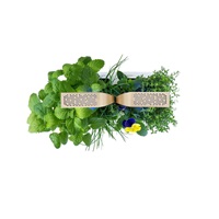 Véritable CONNECT - Smart automatický květináč s regulací osvětlení, bílá-champagne + 4 bylinkové náplně