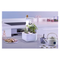 Véritable Botaneo - Automatický květináč + 2 bylinkové náplně