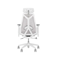 ASUS herní křeslo ROG Destrier Core, bílá