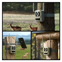 REOLINK Fotopast Talon Series T130, 4K UHD, 4G LTE