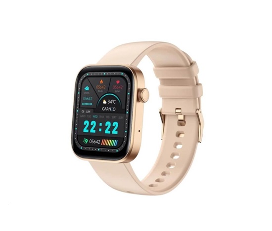 CARNEO Zenith HR+ gold