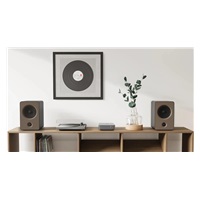 WiiM Amp PRO Dark Grey