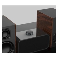 WiiM Mini