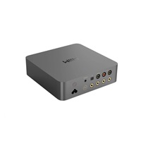 WiiM Vibelink Amp - Grey