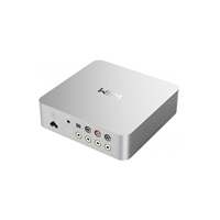 WiiM Vibelink Amp - Silver