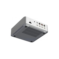 WiiM Vibelink Amp - Silver