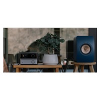 WiiM Vibelink Amp - Silver