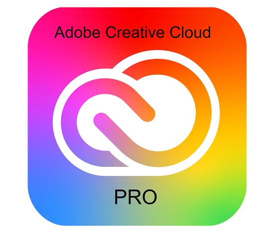 Adobe Creative Cloud Pro for teams MP ML (+CZ) GOV 1 User, 12 Months, Level 4, 100+ Lic